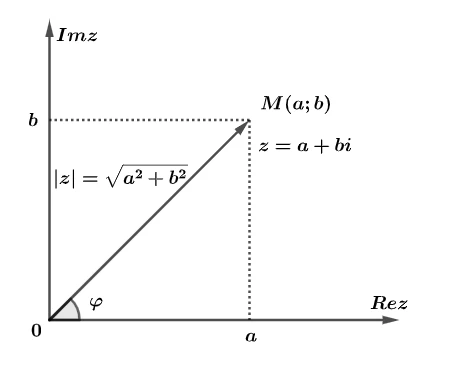 Комплексное число на координатной плоскости с модулем и аргументом точки M.