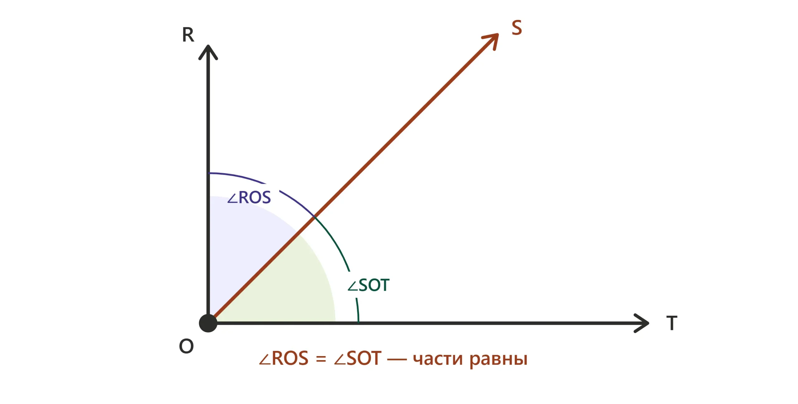 Биссектриса делит угол на две равные части из одной вершины.