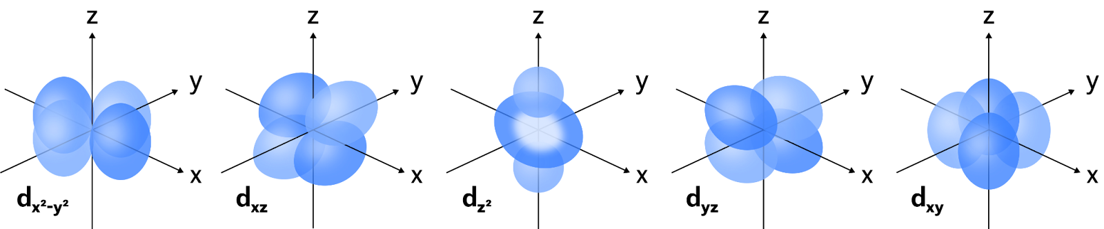 D-орбиталь