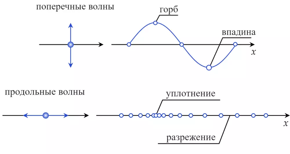 Виды волн