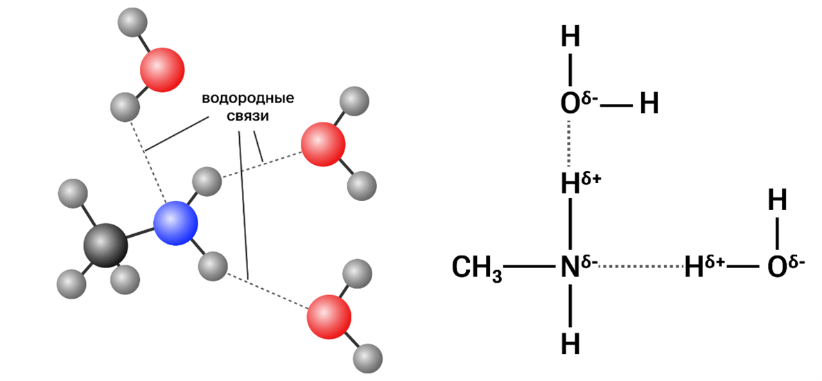 Водородная связь