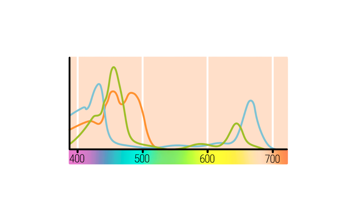 Волны солнечного излучения