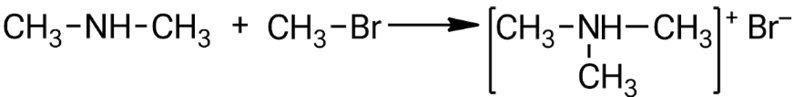Взаимодействие диметиламина с бромметаном