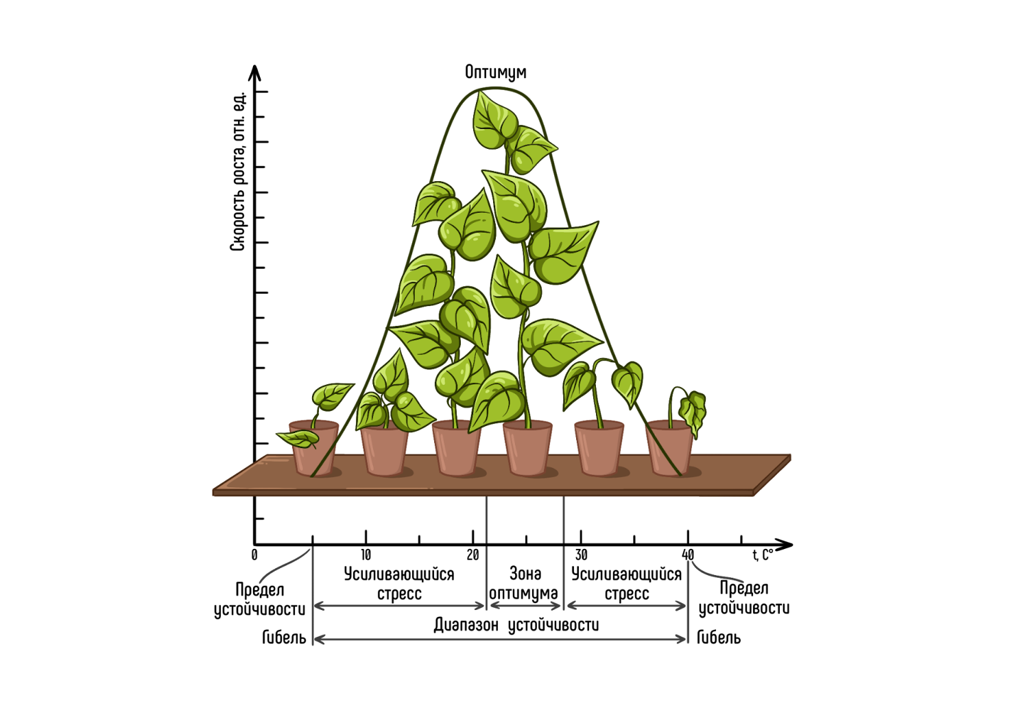 Закон толерантности Шелфорда